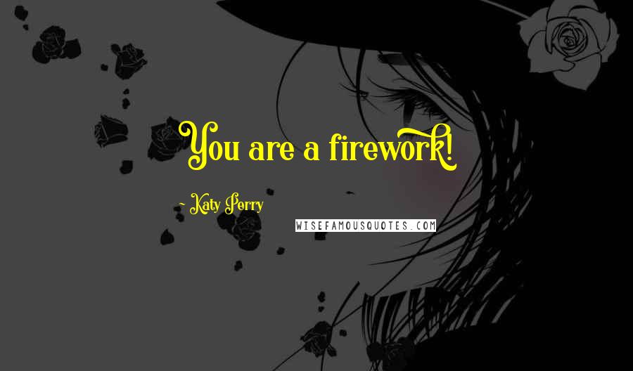 Katy Perry Quotes: You are a firework!