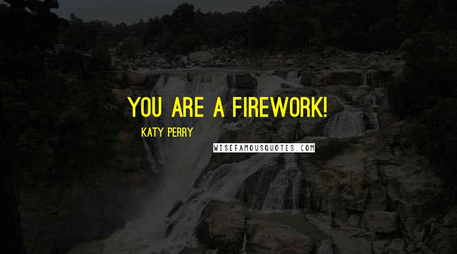Katy Perry Quotes: You are a firework!