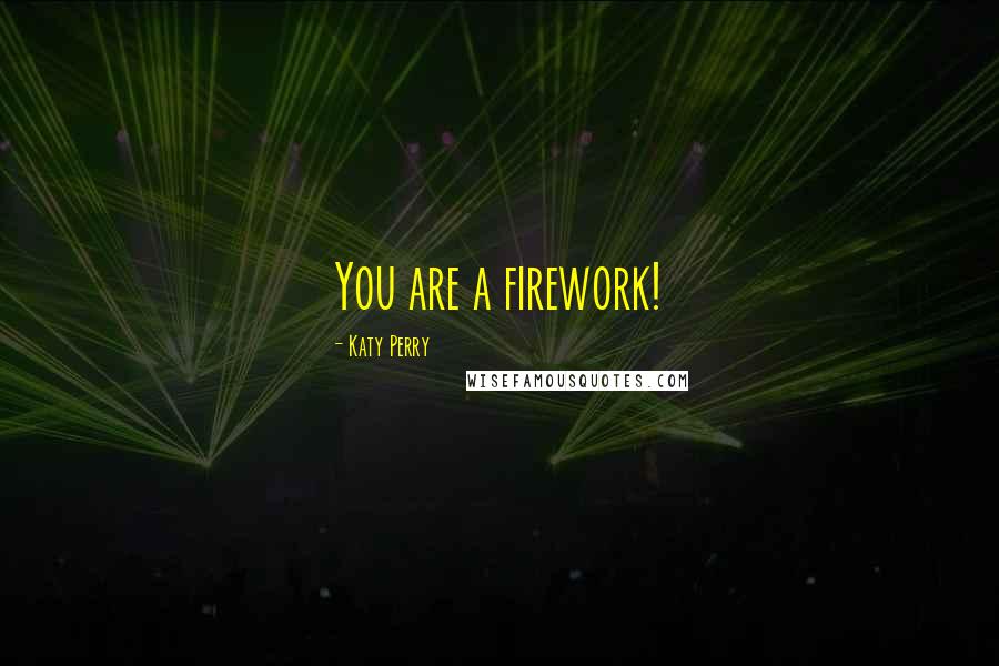 Katy Perry Quotes: You are a firework!