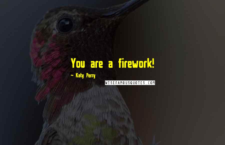 Katy Perry Quotes: You are a firework!