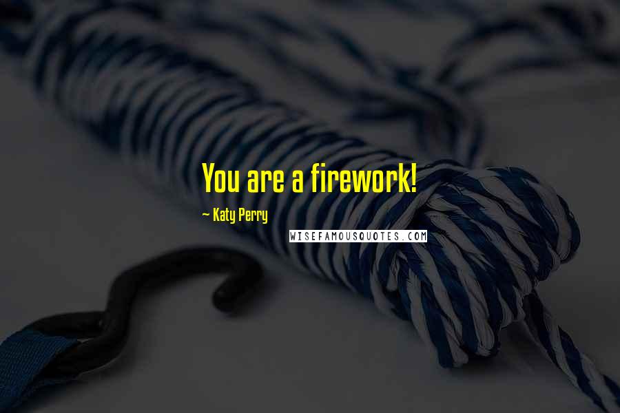 Katy Perry Quotes: You are a firework!