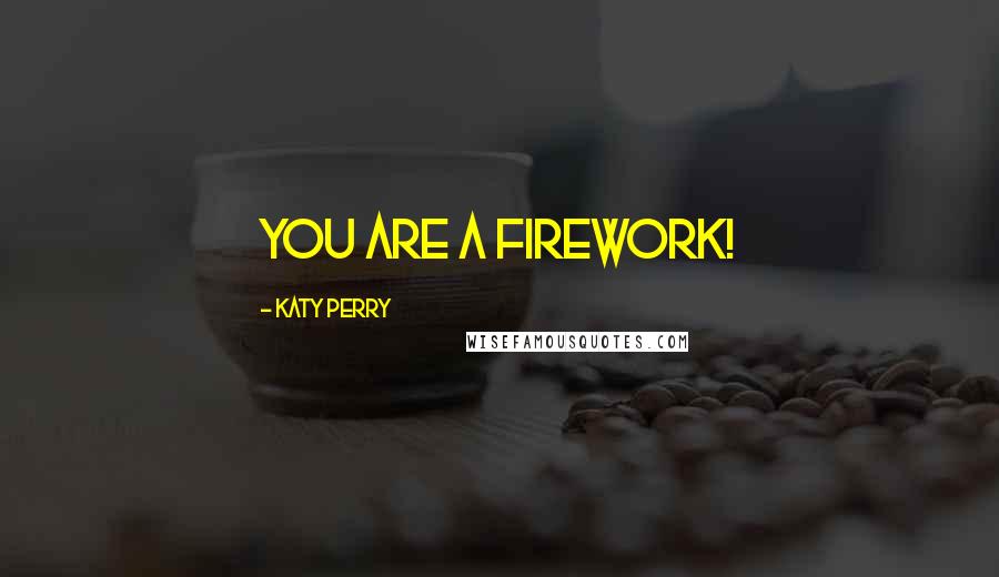 Katy Perry Quotes: You are a firework!