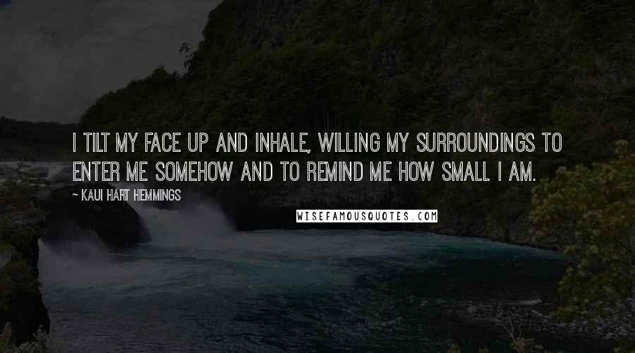 Kaui Hart Hemmings Quotes: I tilt my face up and inhale, willing my surroundings to enter me somehow and to remind me how small I am.