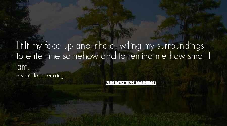 Kaui Hart Hemmings Quotes: I tilt my face up and inhale, willing my surroundings to enter me somehow and to remind me how small I am.