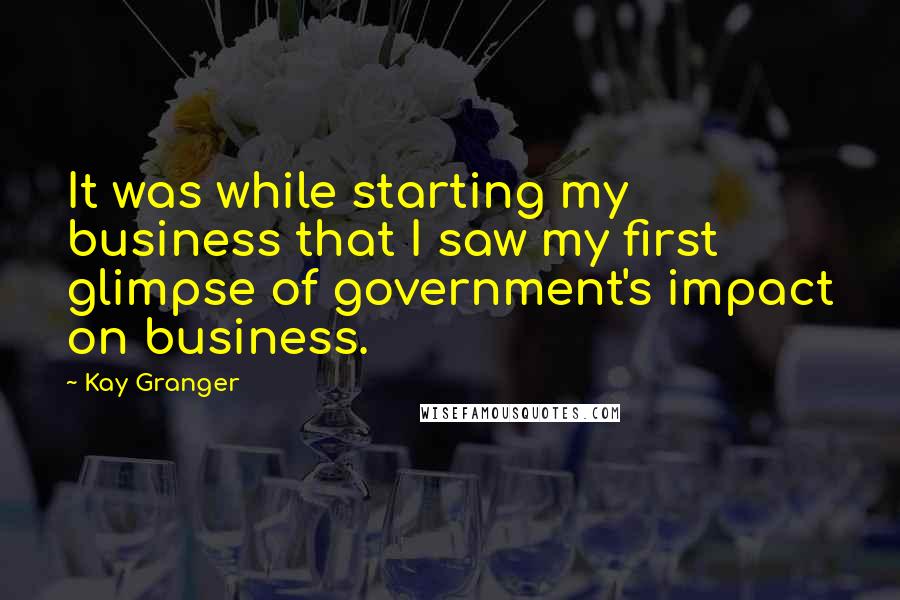 Kay Granger Quotes: It was while starting my business that I saw my first glimpse of government's impact on business.