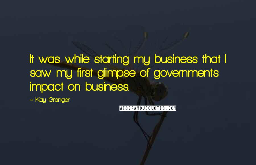 Kay Granger Quotes: It was while starting my business that I saw my first glimpse of government's impact on business.