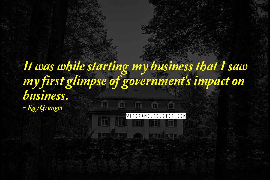 Kay Granger Quotes: It was while starting my business that I saw my first glimpse of government's impact on business.