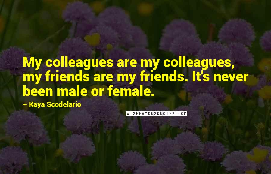 Kaya Scodelario Quotes: My colleagues are my colleagues, my friends are my friends. It's never been male or female.