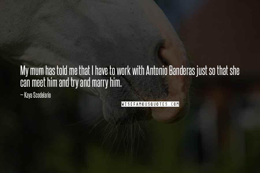 Kaya Scodelario Quotes: My mum has told me that I have to work with Antonio Banderas just so that she can meet him and try and marry him.