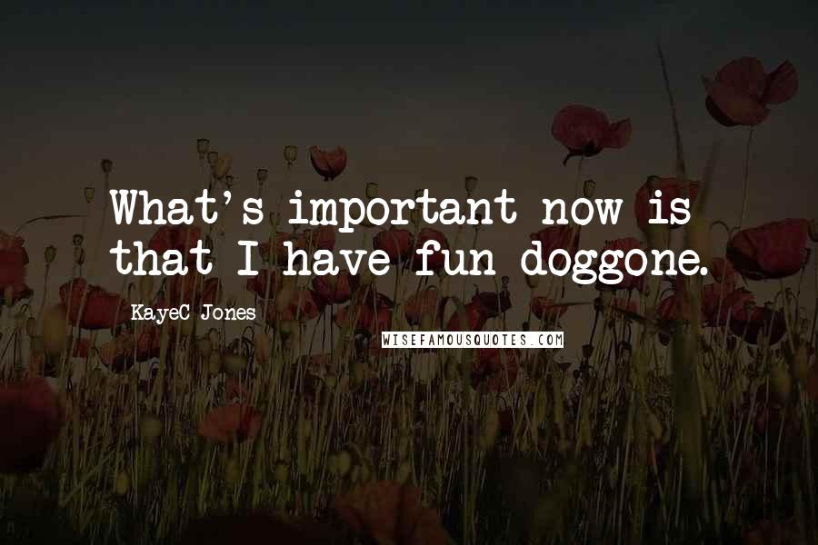 KayeC Jones Quotes: What's important now is that I have fun doggone.