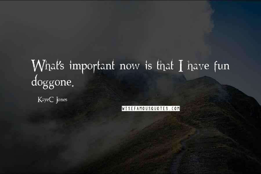 KayeC Jones Quotes: What's important now is that I have fun doggone.