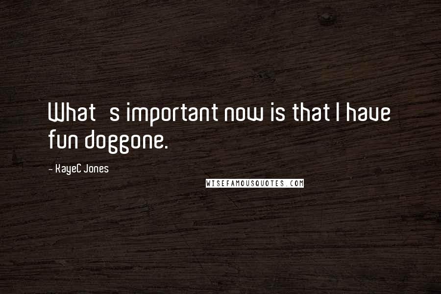 KayeC Jones Quotes: What's important now is that I have fun doggone.