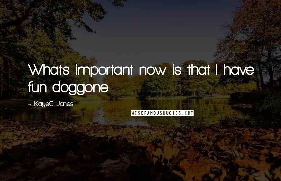 KayeC Jones Quotes: What's important now is that I have fun doggone.