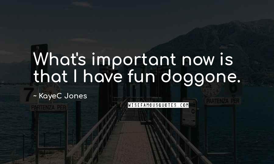 KayeC Jones Quotes: What's important now is that I have fun doggone.