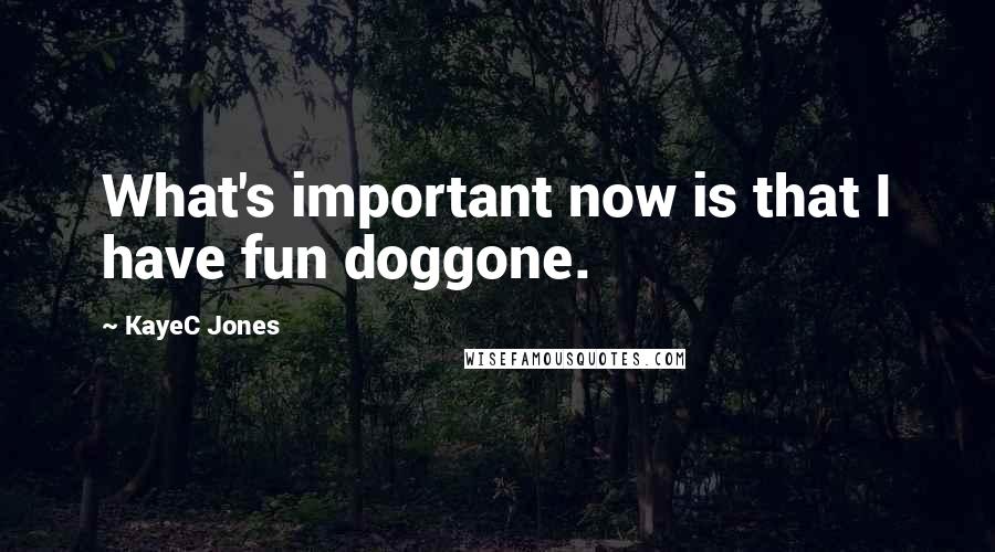 KayeC Jones Quotes: What's important now is that I have fun doggone.