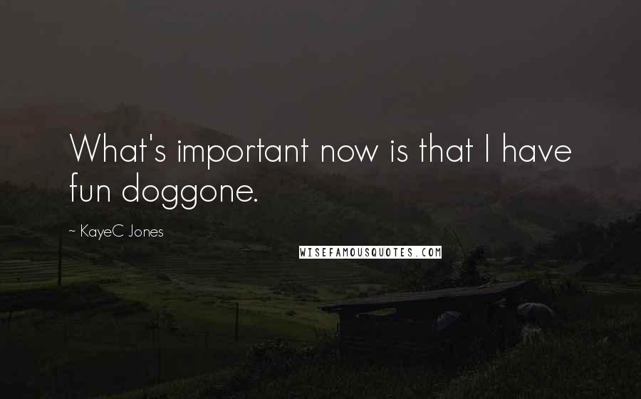 KayeC Jones Quotes: What's important now is that I have fun doggone.