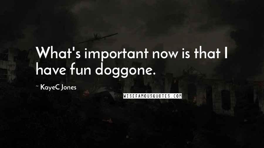 KayeC Jones Quotes: What's important now is that I have fun doggone.