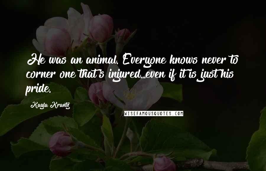 Kayla Krantz Quotes: He was an animal. Everyone knows never to corner one that's injured...even if it is just his pride.