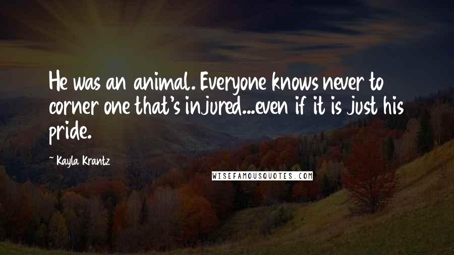 Kayla Krantz Quotes: He was an animal. Everyone knows never to corner one that's injured...even if it is just his pride.