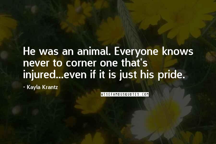 Kayla Krantz Quotes: He was an animal. Everyone knows never to corner one that's injured...even if it is just his pride.