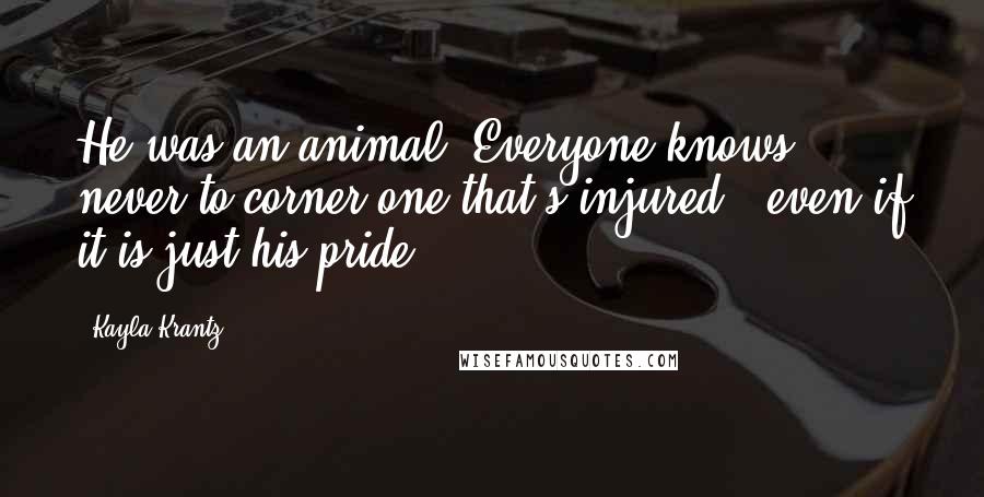 Kayla Krantz Quotes: He was an animal. Everyone knows never to corner one that's injured...even if it is just his pride.