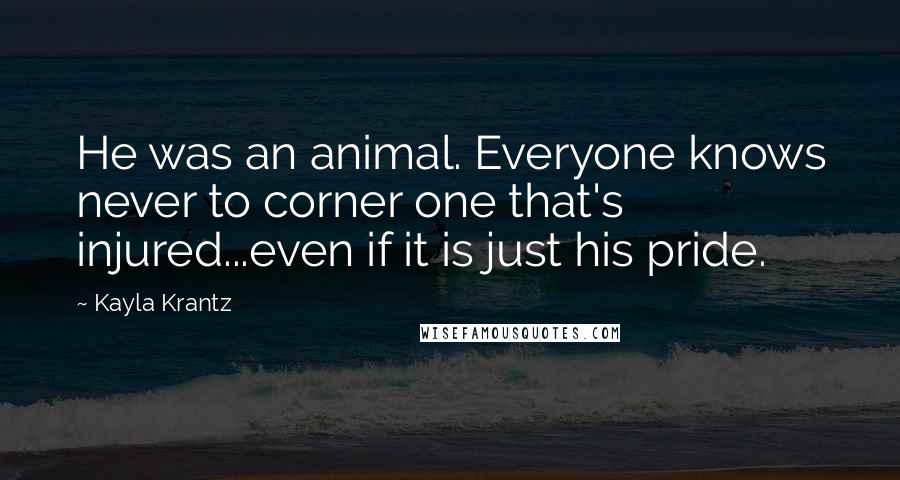 Kayla Krantz Quotes: He was an animal. Everyone knows never to corner one that's injured...even if it is just his pride.