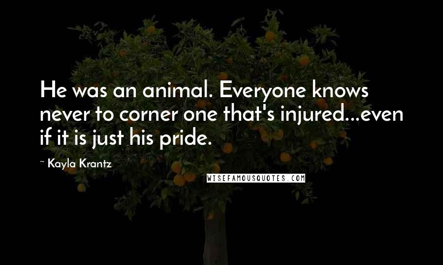 Kayla Krantz Quotes: He was an animal. Everyone knows never to corner one that's injured...even if it is just his pride.