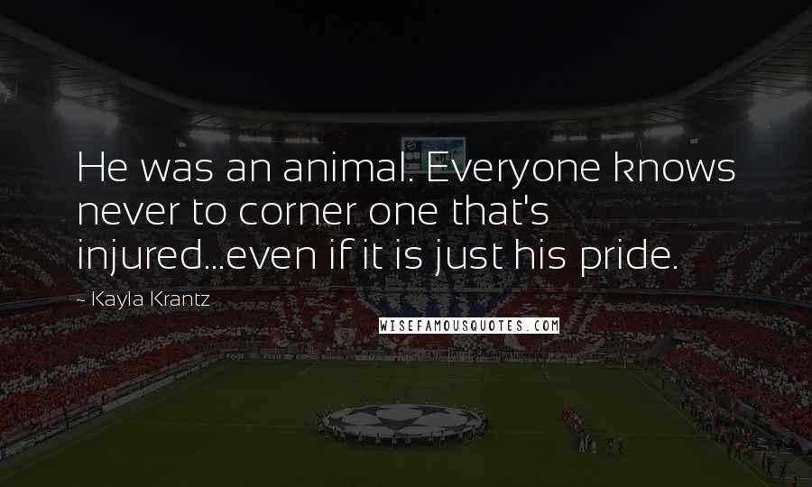 Kayla Krantz Quotes: He was an animal. Everyone knows never to corner one that's injured...even if it is just his pride.