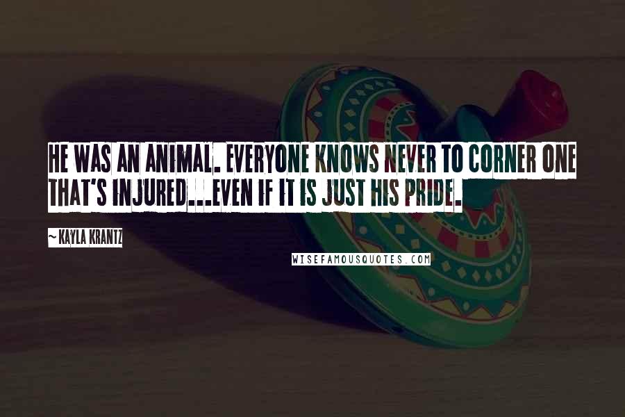 Kayla Krantz Quotes: He was an animal. Everyone knows never to corner one that's injured...even if it is just his pride.