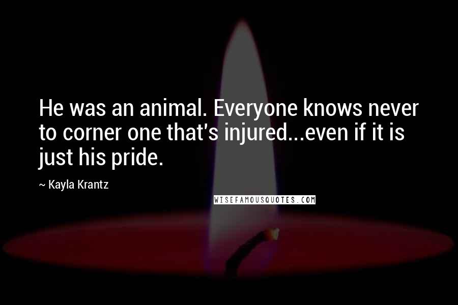 Kayla Krantz Quotes: He was an animal. Everyone knows never to corner one that's injured...even if it is just his pride.
