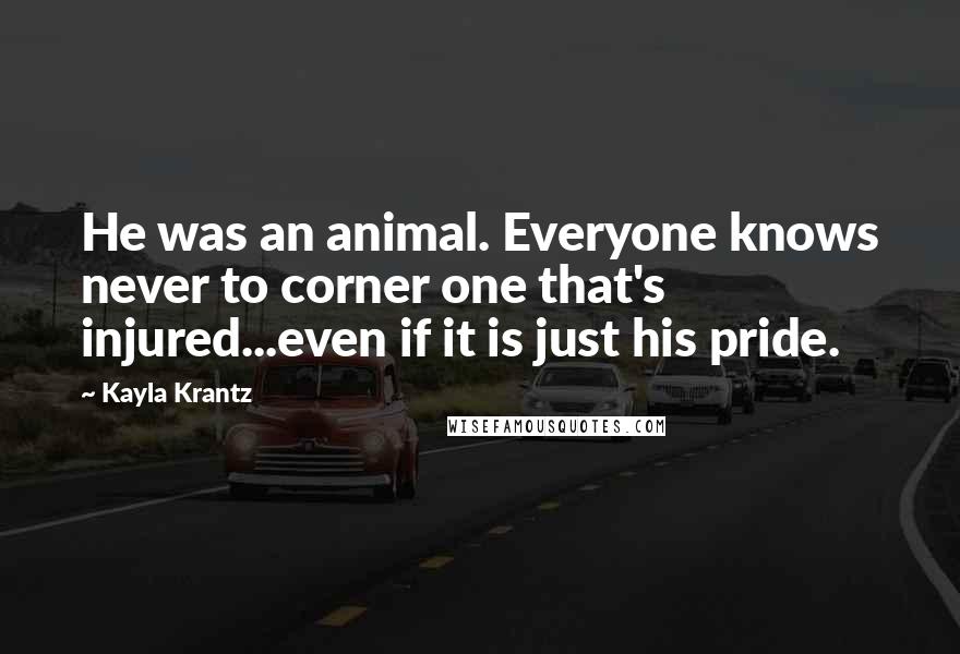 Kayla Krantz Quotes: He was an animal. Everyone knows never to corner one that's injured...even if it is just his pride.