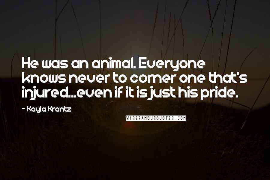 Kayla Krantz Quotes: He was an animal. Everyone knows never to corner one that's injured...even if it is just his pride.