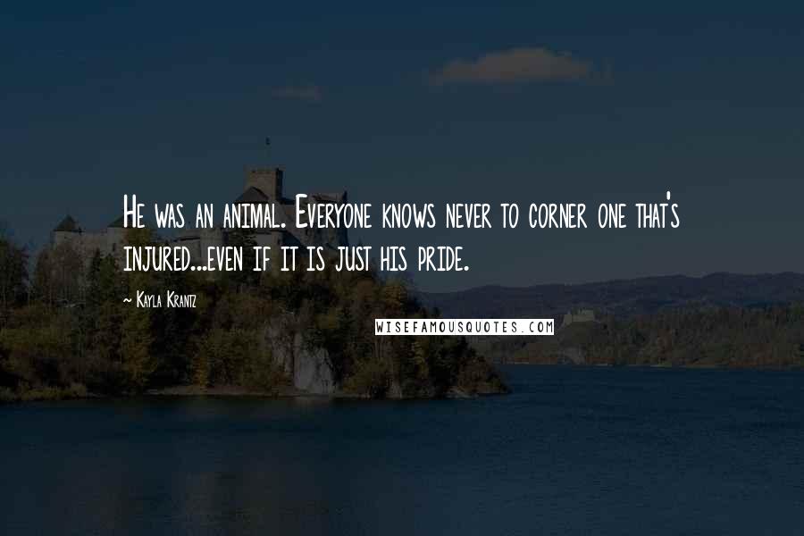 Kayla Krantz Quotes: He was an animal. Everyone knows never to corner one that's injured...even if it is just his pride.