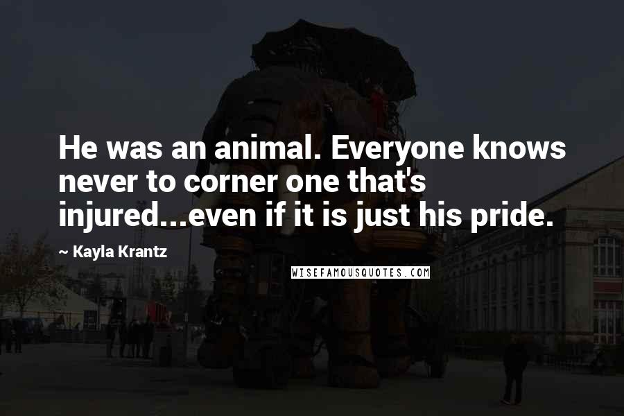 Kayla Krantz Quotes: He was an animal. Everyone knows never to corner one that's injured...even if it is just his pride.