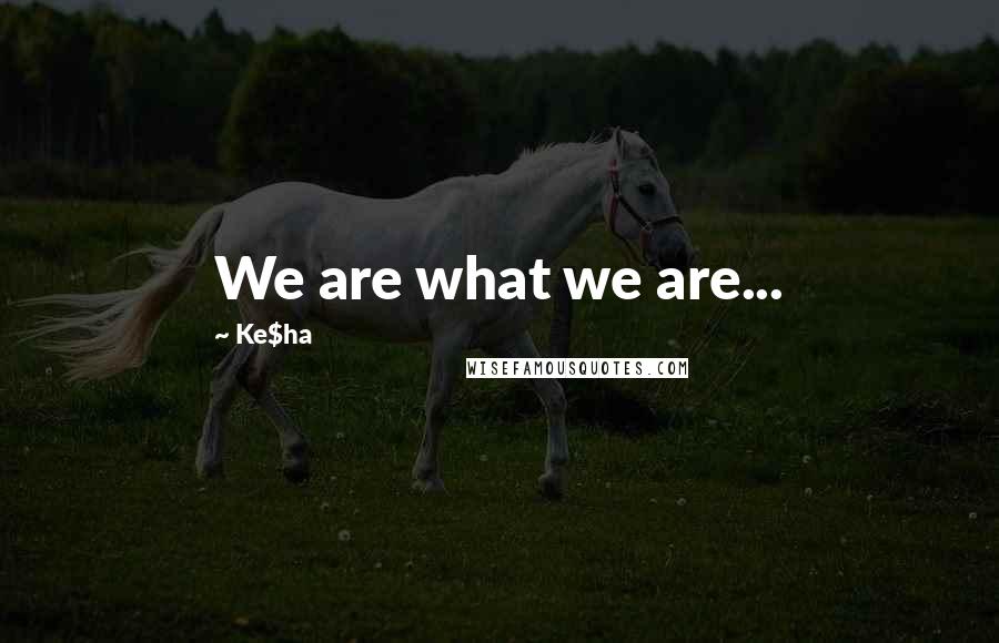 Ke$ha Quotes: We are what we are...