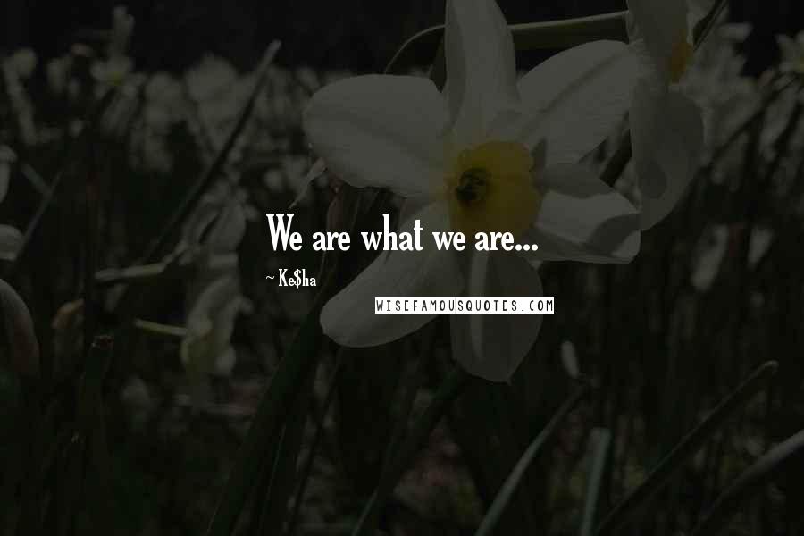 Ke$ha Quotes: We are what we are...