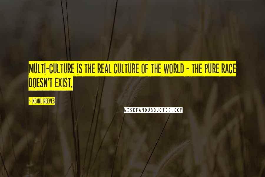 Keanu Reeves Quotes: Multi-culture is the real culture of the world - the pure race doesn't exist.