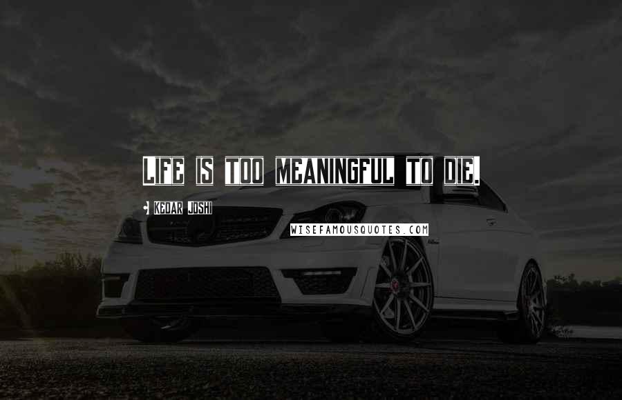 Kedar Joshi Quotes: Life is too meaningful to die.