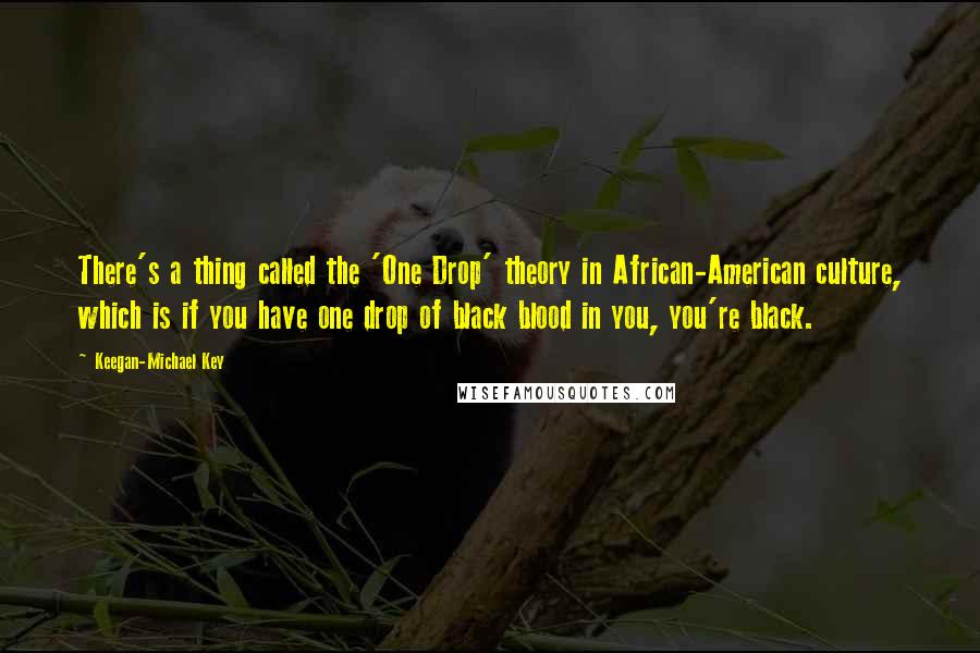 Keegan-Michael Key Quotes: There's a thing called the 'One Drop' theory in African-American culture, which is if you have one drop of black blood in you, you're black.