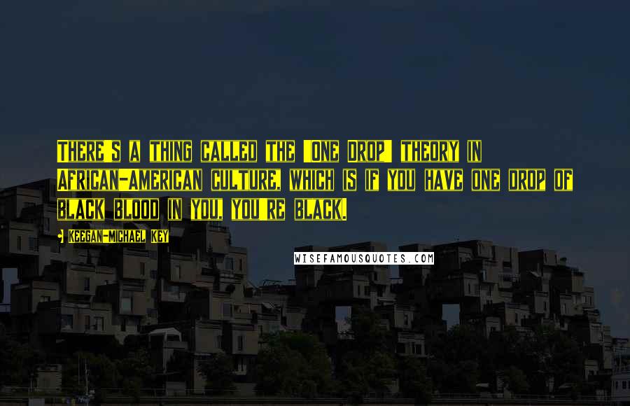 Keegan-Michael Key Quotes: There's a thing called the 'One Drop' theory in African-American culture, which is if you have one drop of black blood in you, you're black.