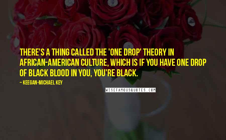 Keegan-Michael Key Quotes: There's a thing called the 'One Drop' theory in African-American culture, which is if you have one drop of black blood in you, you're black.