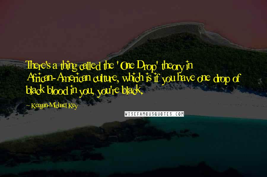 Keegan-Michael Key Quotes: There's a thing called the 'One Drop' theory in African-American culture, which is if you have one drop of black blood in you, you're black.