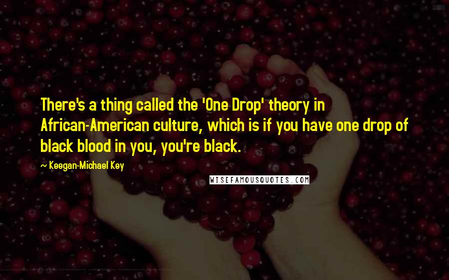 Keegan-Michael Key Quotes: There's a thing called the 'One Drop' theory in African-American culture, which is if you have one drop of black blood in you, you're black.