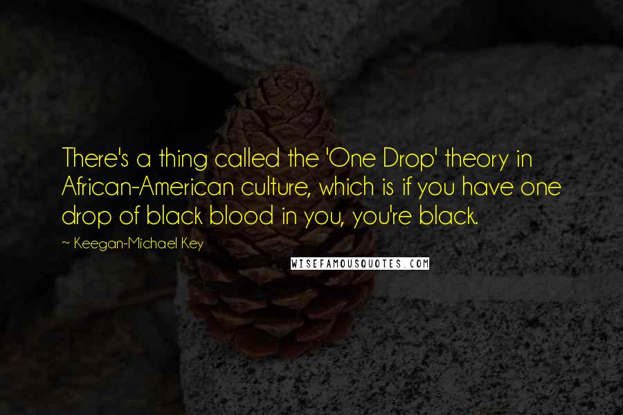 Keegan-Michael Key Quotes: There's a thing called the 'One Drop' theory in African-American culture, which is if you have one drop of black blood in you, you're black.