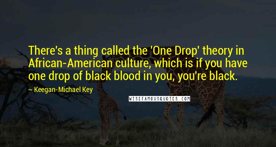 Keegan-Michael Key Quotes: There's a thing called the 'One Drop' theory in African-American culture, which is if you have one drop of black blood in you, you're black.