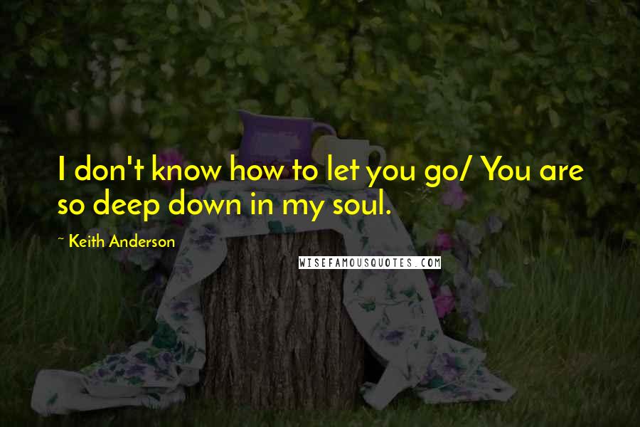 Keith Anderson Quotes: I don't know how to let you go/ You are so deep down in my soul.