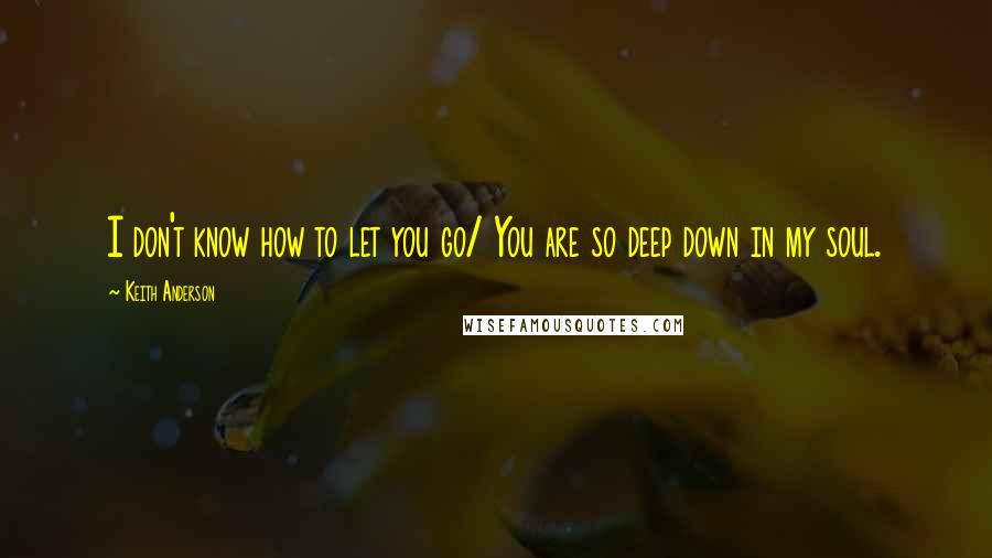 Keith Anderson Quotes: I don't know how to let you go/ You are so deep down in my soul.