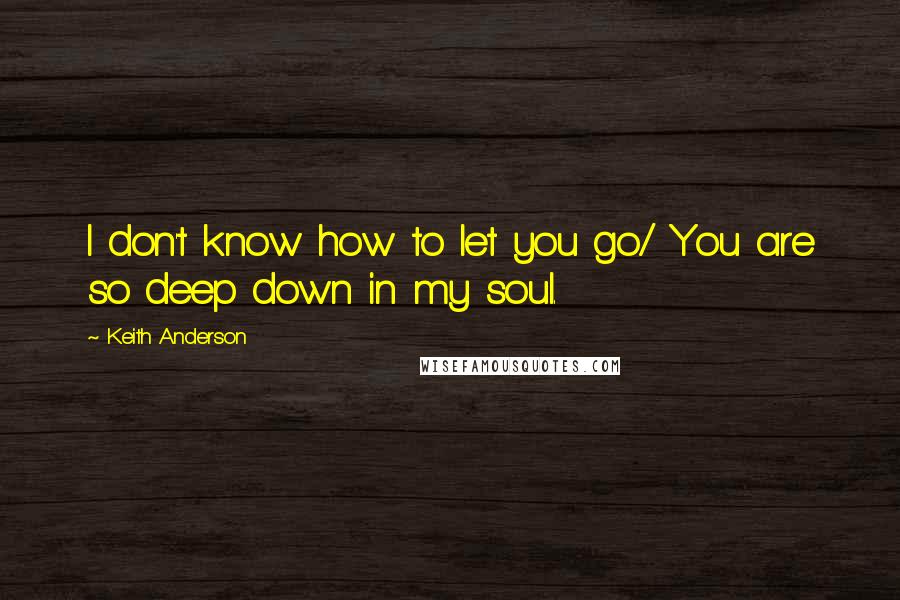 Keith Anderson Quotes: I don't know how to let you go/ You are so deep down in my soul.