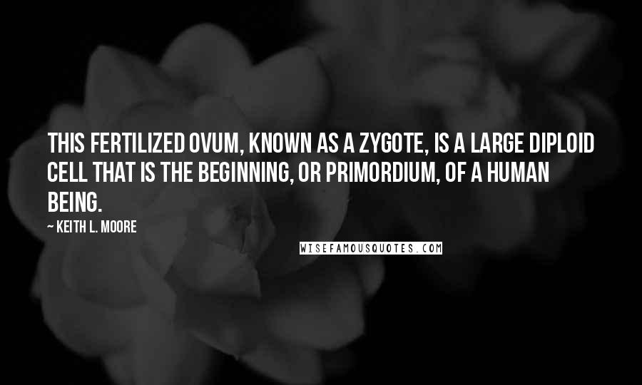 Keith L. Moore Quotes: This fertilized ovum, known as a zygote, is a large diploid cell that is the beginning, or primordium, of a human being.