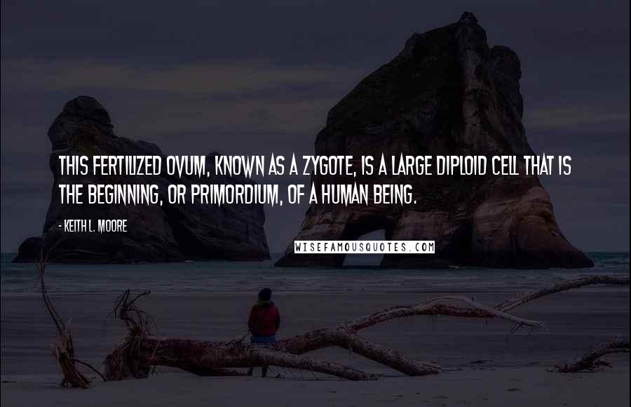 Keith L. Moore Quotes: This fertilized ovum, known as a zygote, is a large diploid cell that is the beginning, or primordium, of a human being.